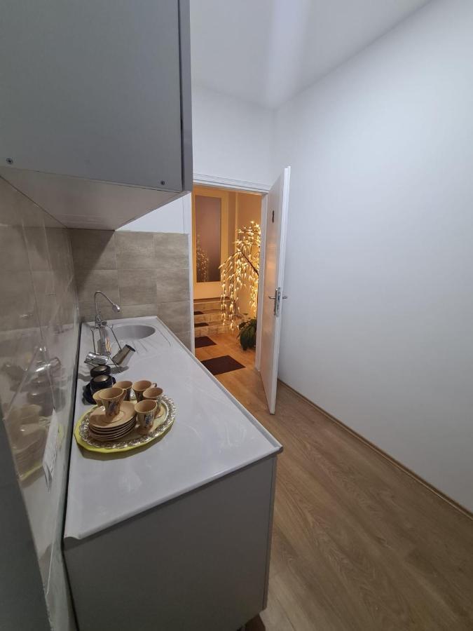 Apartmani Mladenovic Kijevo Extérieur photo