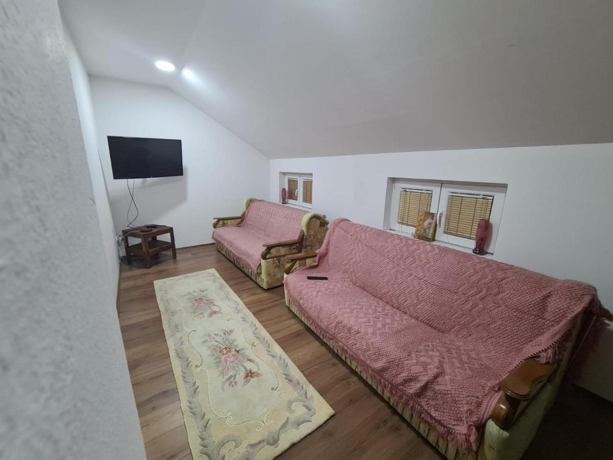Apartmani Mladenovic Kijevo Extérieur photo
