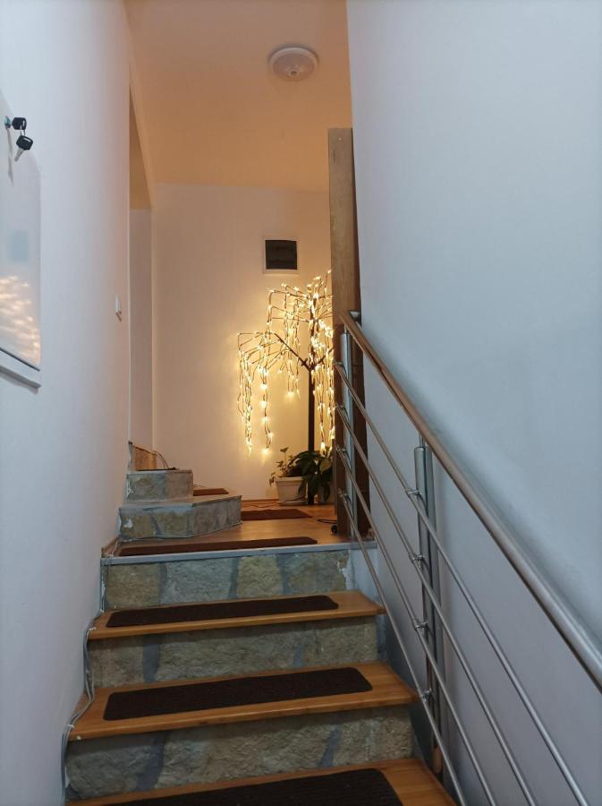 Apartmani Mladenovic Kijevo Extérieur photo